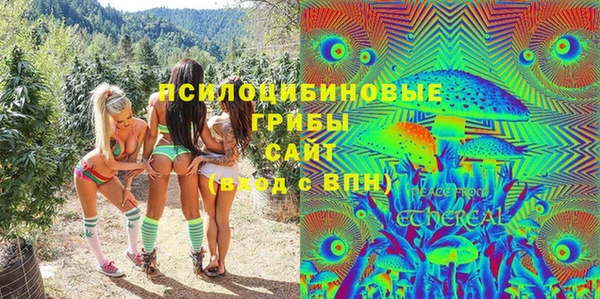 ПСИЛОЦИБИНОВЫЕ ГРИБЫ Алексеевка