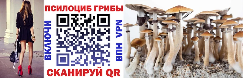 Галлюциногенные грибы мухоморы  OMG зеркало  Октябрьск 